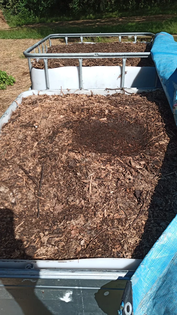 Bokashi dans des cuves IBC