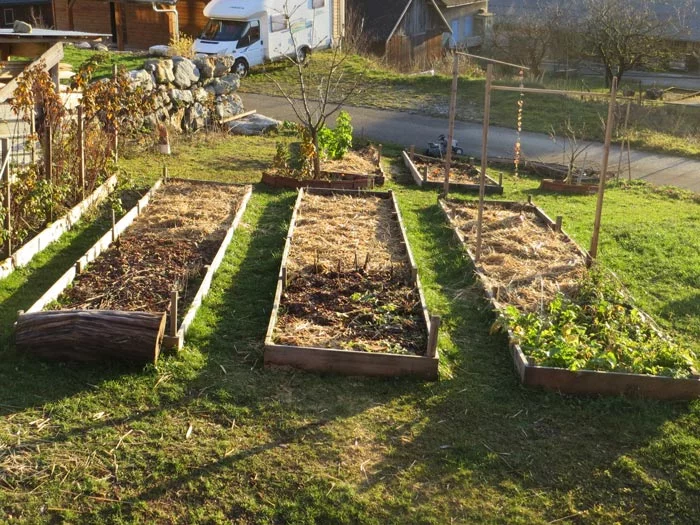 Carrés potagers à l'ancienne