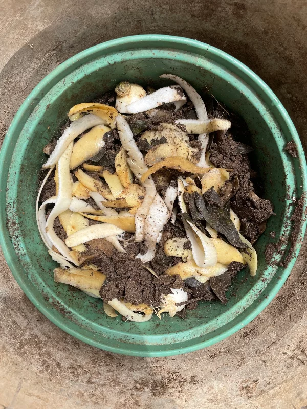 Compostage dans un petit seau