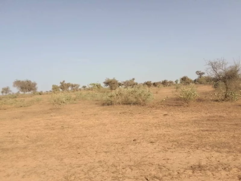 Terrain en vente au Sénégal