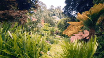 PermaForo - Production de compost : le rapport carbone (C) azote (N)