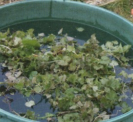 wiki.tripleperformance.fr