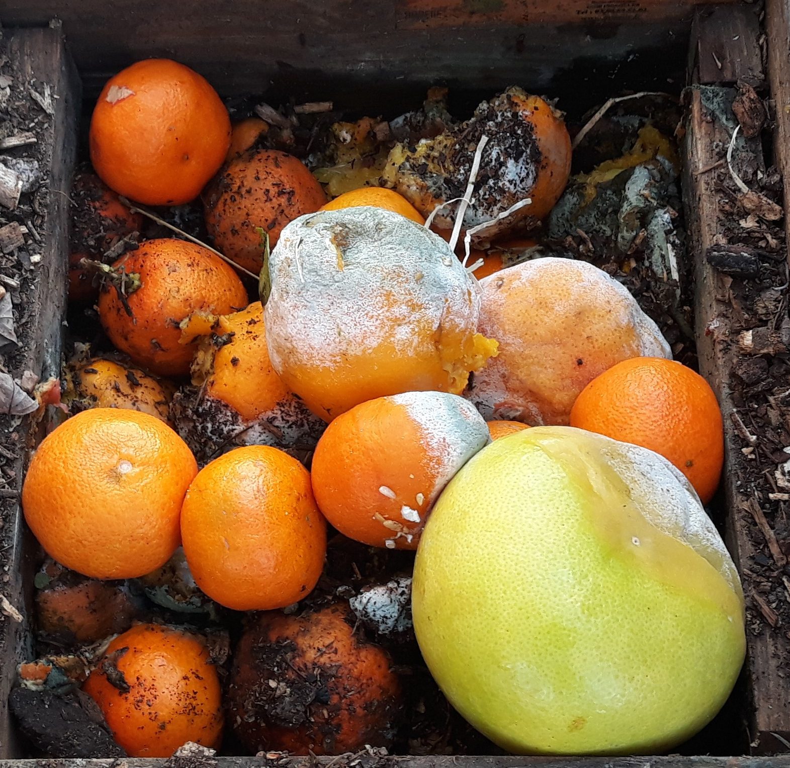 lamaisonducompost.fr